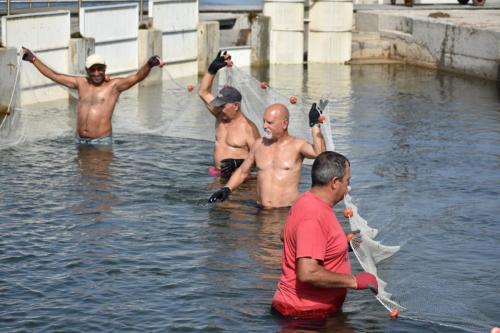 L'ORO DI CABRAS - pesca